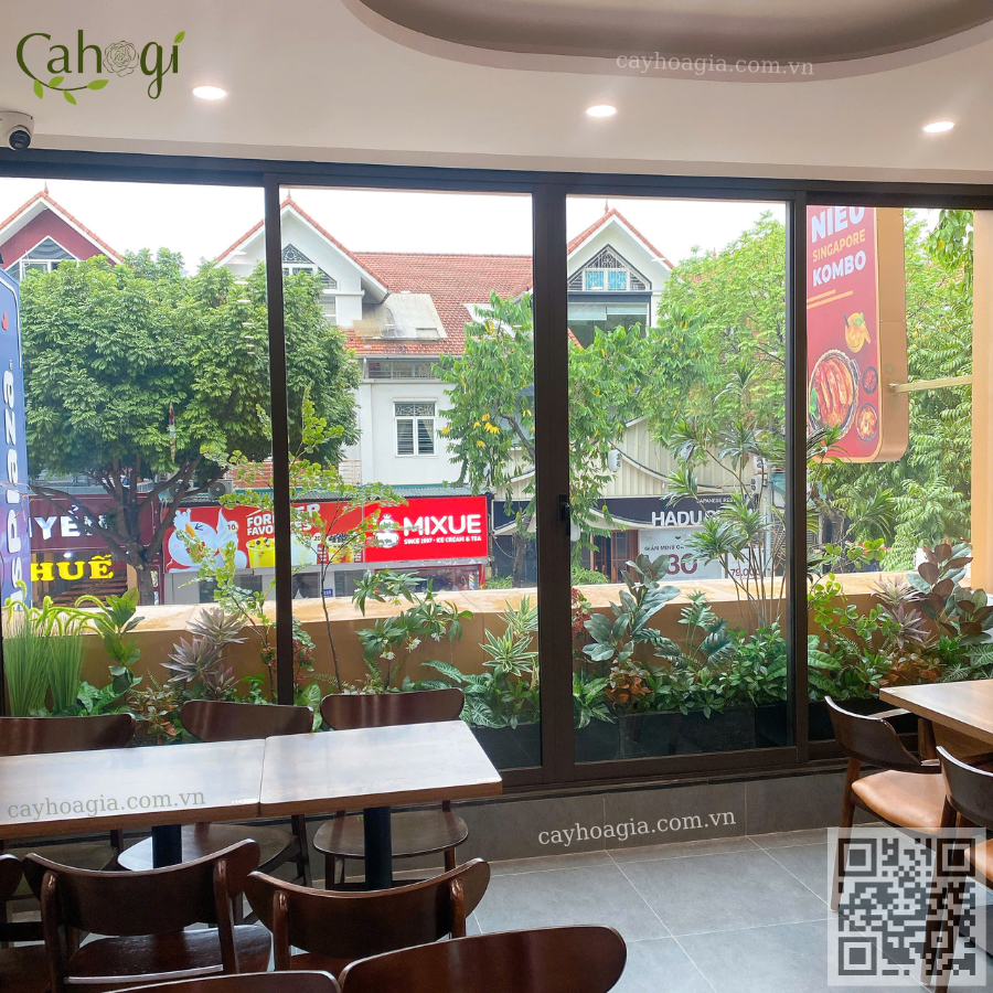 thi công bồn cây giả nhà hàng