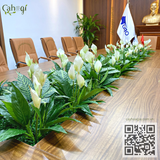 Thi Công Cắm Bồn Cây Giả Văn Phòng Tại Toà Nhà Royal City R4 Nguyễn Trãi