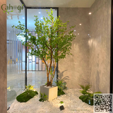 Thi Công Cây Thạch Nam Giả Tại Showroom Nội Thất