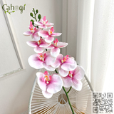 Hoa Giả Cành Lan Hồ Điệp Thân Đốm