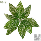Cây Giả - Cây Ngựa Vằn 9 Lá 30 Cm