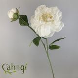 Hoa Giả Hoa Mẫu Đơn Bông Lớn 2 Nụ Nhiều Màu 70 Cm