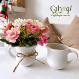 Bình Sữa Quai Rót