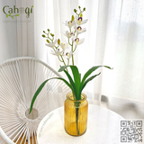 Bình Thủy Tinh Tăm Phong Cách Bắc Âu