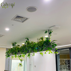 Trang Trí Đèn Treo Văn Phòng Với Cây Giả 69B Thụy Khuê - Tây Hồ