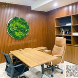 Thi Công Tranh Tường Rêu Giả Cho Văn Phòng