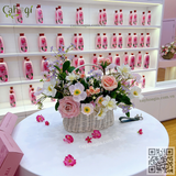 Thi Công Trang Trí Hoa Giả showroom Mỹ Phẩm 38 Thợ Nhuộm