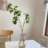 Cành Ngũ Gia Bì Hương Cao Cấp 12 Ngọn Lá 70 CM