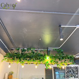 Bồn Cây Giả Treo Trần Quán Cafe Quầy Bar Thi Công Lắp Đặt Trọn Gói