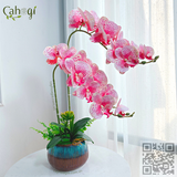Chậu Hoa Cắm Sẵn - Chậu Lan Hồ Điệp Cao Su 2 Cành - Men Hoả Biến- 55x15 Cm