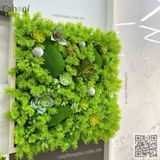 Thi Công 14 Bức Tranh Sen Đá Giả Trang Trí Văn Phòng DOHA LAND