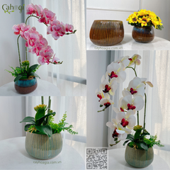 Cây Giả Cây Khoai Nước Cỡ Lớn Nhiều Kích Thước