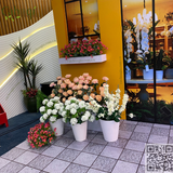 Thi Công Cắm Hoa Nhiều Hạng Mục Sự Kiện Hợp Tác Giao Thương Tại Vincom