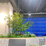 Thi Công Trang Trí Cây Hoa Giả Siêu Thị Aeon Xuân thuỷ Cầu Giấy