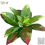 Cây Giả - Cây Vàng Anh Lá Mít 11 Lá Lớn 30 Cm