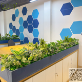 Thi Công Bồn Cây Giả Trang Trí Tủ Văn Phòng