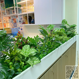 Thi Công Cắm Bồn Cây Giả Văn Phòng Công Ty HDIG JSC