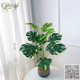 Cây Giả Trang Trí - Cây Trầu Bà Nam Mỹ Monstera Cây Lá Rùa 50Cm