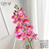Hoa Giả Cành Lan Hồ Điệp Thân Đốm