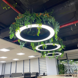 Thi Công Cắm Cây Giả Trang Trí Đèn Treo Trần Văn Phòng