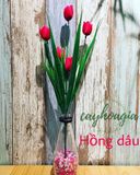 Hoa Giả - Chùm Tulip 5 Bông Trồng Hàng Rào Ban Công