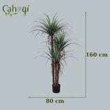 Cây Giả - Bụi Cây Yuca Giả Nhiều Kích Thước