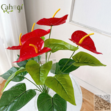 Hồng Môn Yến 45 Cm