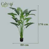 Cây Giả Cây Khoai Nước Cỡ Lớn Nhiều Kích Thước
