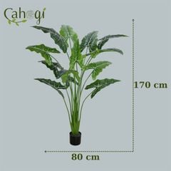 Dây Leo Giả Trang Trí - Cuộng Dây Leo Giả 3M