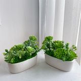 Yếm Bồn Sứ Bát Tràng Bo Tròn Miệng 17x6x8 Cm