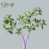 Cây Giả - Cành Trà Xanh 5 Ngọn 76 Cm