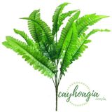 Cây Trang Trí - Dương Xỉ Vải 30 Cm