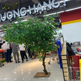 Thi Công Cây Si Giả Trưng Bày Quầy Hoa Qủa Siêu Thị Winmart