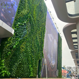 Thi Công Tường Cây Giả Toà Nhà DOJI Hải Phòng