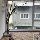 Thi Công Cây Hoa Đào Trang Trí Shop Quần Áo