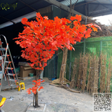 Thi Công Cây Phong Giả Cho Thuê Sự Kiện