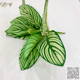 Cây Giả - Cây Đuôi Công Lá Dài Xanh Sọc Trắng 11 Lá To 30 Cm