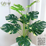 Cây Giả Trang Trí - Cây Trầu Bà Nam Mỹ Monstera Cây Lá Rùa 50Cm