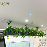 Thi Công Bồn Cây Giả Cho Treo Rủ Trần - Giải Pháp Xanh Cho Văn Phòng Hiện Đại Tòa Lotte Đào Tấn