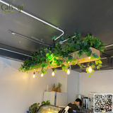 Bồn Cây Giả Treo Trần Quán Cafe Quầy Bar Thi Công Lắp Đặt Trọn Gói