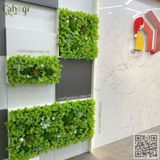 Thi Công 14 Bức Tranh Sen Đá Giả Trang Trí Văn Phòng DOHA LAND