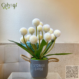 Chậu Hoa Nhỏ Cắm Sẵn Hoa Bồ Công Anh Giả