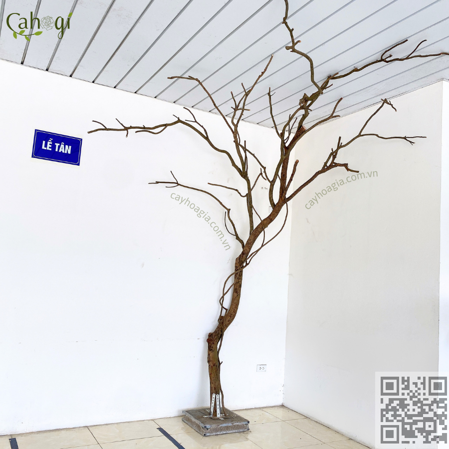 dịch vụ thi công cây hoa anh đào giả