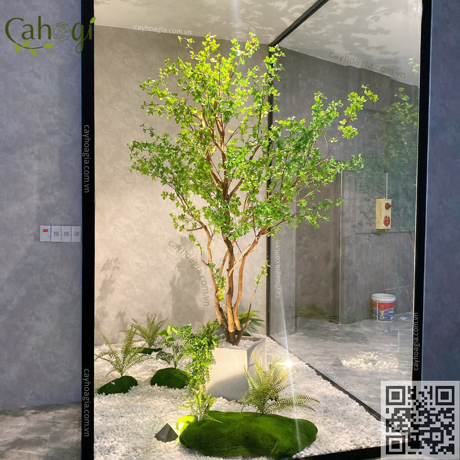 Cây Thạch Nam Giả