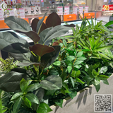 Thi Công Trang Trí Cây Hoa Giả Siêu Thị Aeon Xuân thuỷ Cầu Giấy