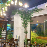 Thi Công Giàn Cây Leo Giả Khu đô thị Trung Văn