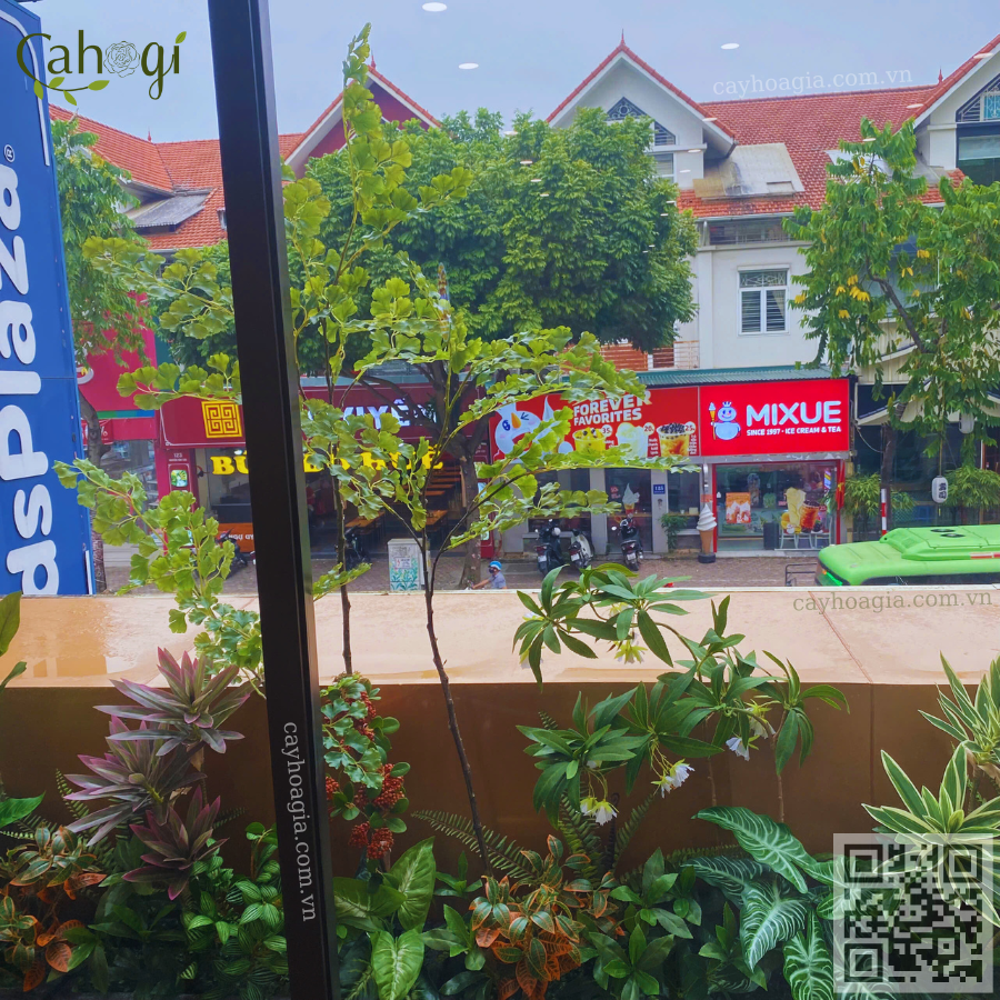 bồn cây giả nhiệt đói