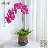 Bình Hoa Cắm Sẵn - Chậu Lan Hồ Điệp Cao Su 1 Cành 55x15 Cm