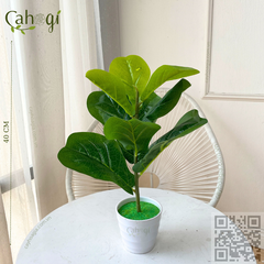 Cây Dứa Giả Cao Cấp Cỡ Lớn 50 Cm