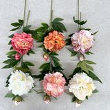 Hoa Giả Hoa Mẫu Đơn Bông Lớn 1 Nụ Nhiều Màu 68 Cm